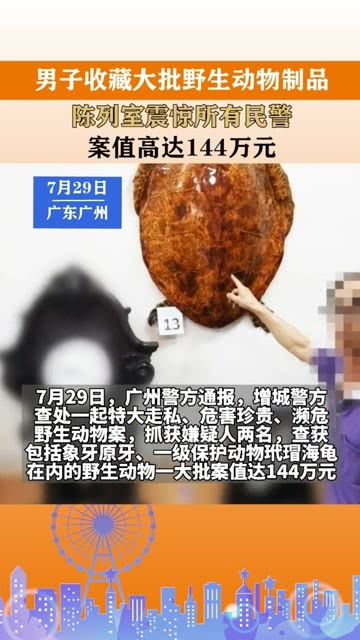 標本陳列室暗藏殺機 巨額非法野生動物制品案背后的生態警鐘
